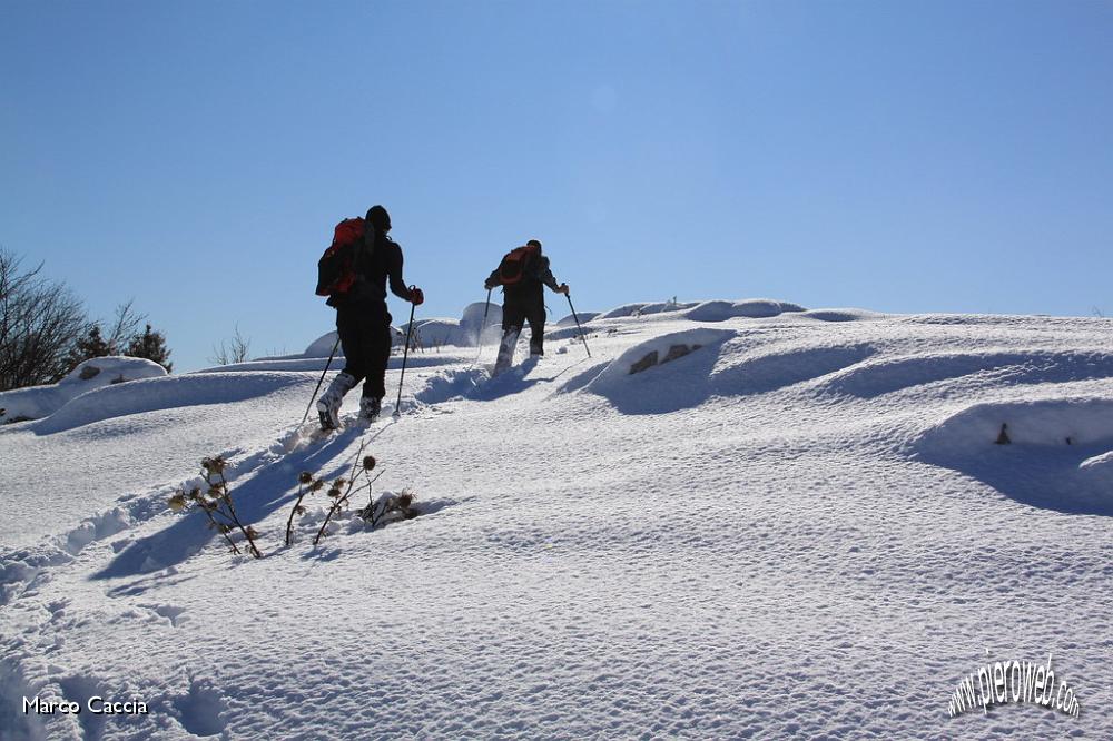 19_Verso il monte Alino.JPG